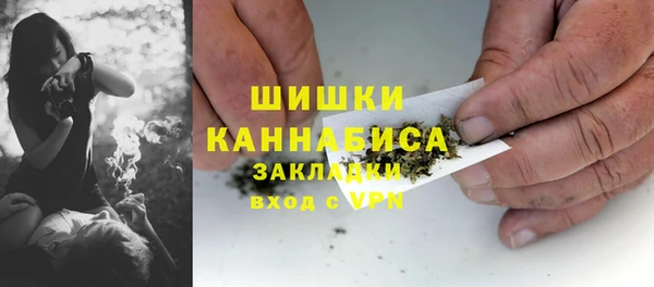 дмт Белокуриха