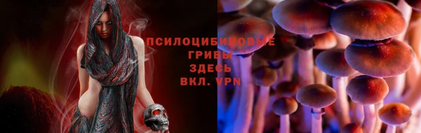 MDMA Premium VHQ Белоозёрский