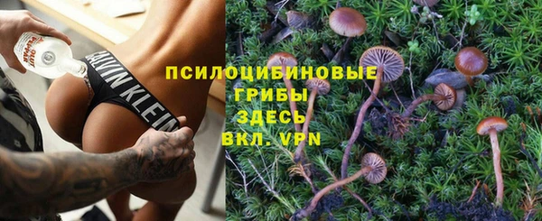 дмт Белокуриха