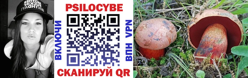 Псилоцибиновые грибы Psilocybe  Гулькевичи 